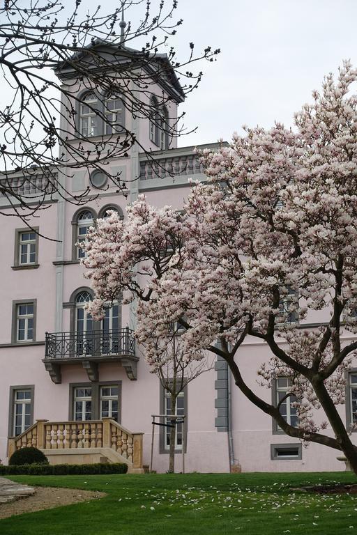 Rittergut Rottewitz Hotel Майсен Екстериор снимка